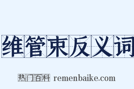 维管束反义词是什么意思的图片